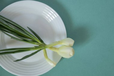 Evde bir masada tabakta yeşil soğan.