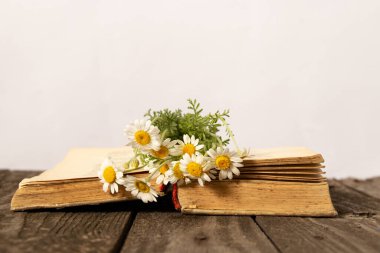 Masada eski kitap ve papatyaları aç.