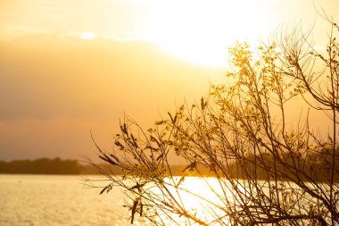 Akşam Ukrayna 'da Dinyeper nehrinde gün batımı