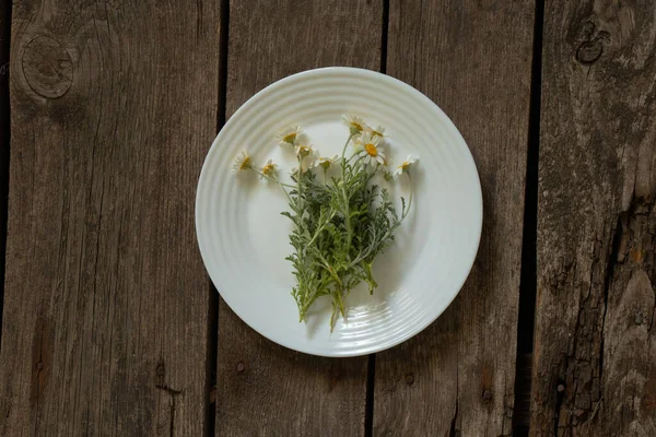 Margaritas Florecientes Yacen Plato Sobre Fondo Aislado — Foto de Stock