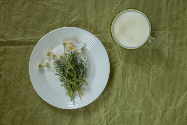 Чашка Молока Цветок Ромашки Тарелке Зеленом — стоковое фото
