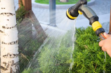 Parklardaki sulama klübü gündüz vakti fıskiyeden geçiyor.
