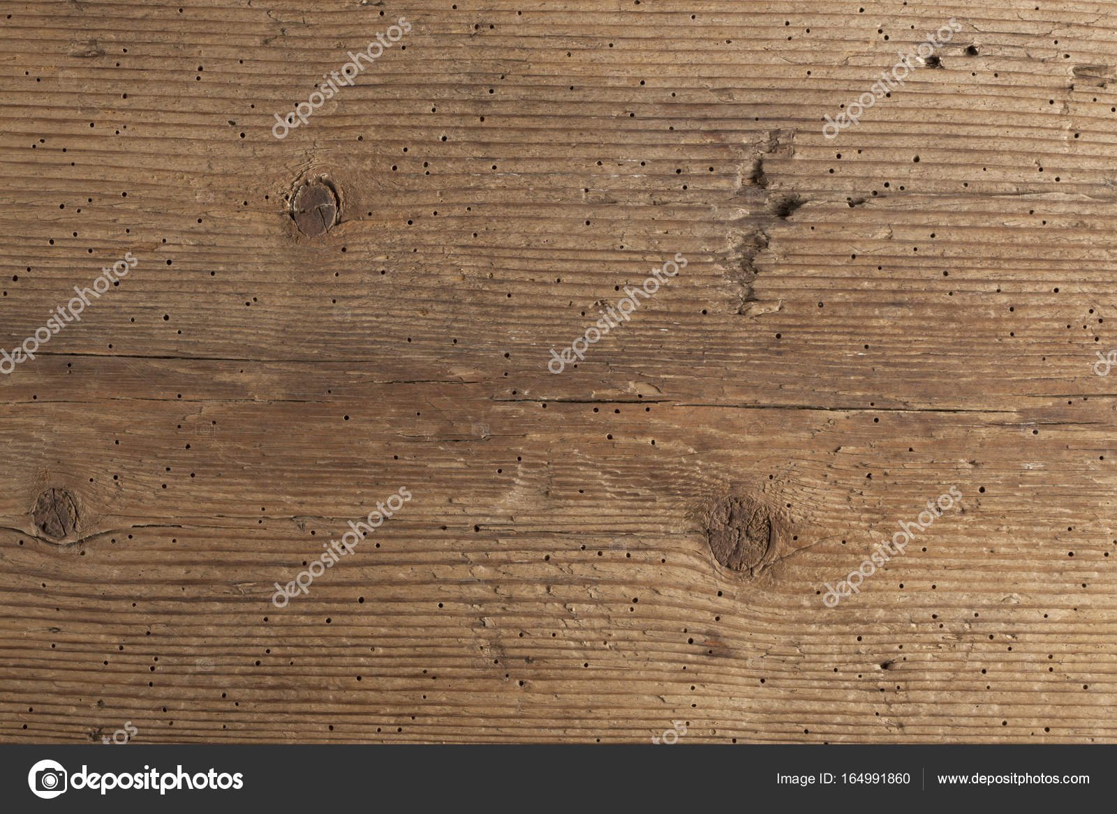 Texture Of Termite Damaged Wood Stock Photo C Ogichobanov 164991860