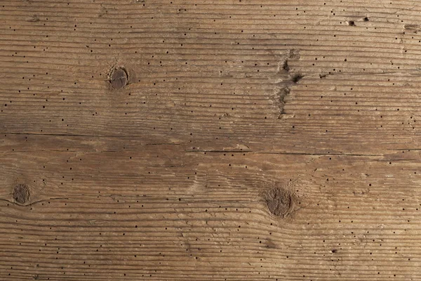 Texture du bois endommagé par les termites — Photo