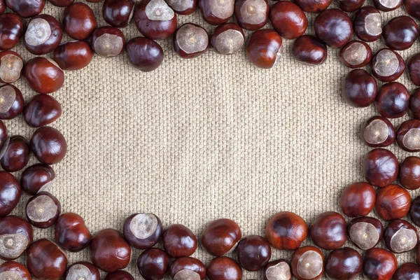 Kestane çerçevesinde 