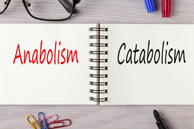 Anabolizma ve katabolizma defterde yazılı