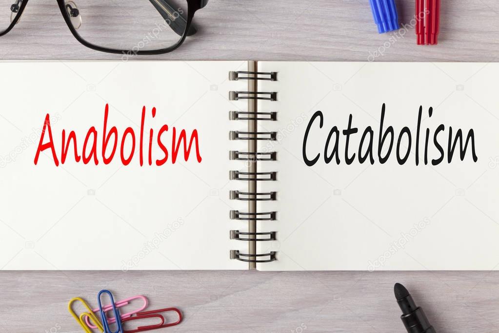Anabolism and Catabolism written in notebook
