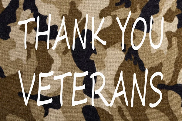 Thank You Veterans Concept