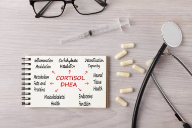 Adrenal kortizol seviyeleri kavramı 