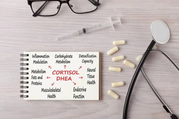 Concepto de niveles de cortisol suprarrenal Imágenes de stock libres de derechos