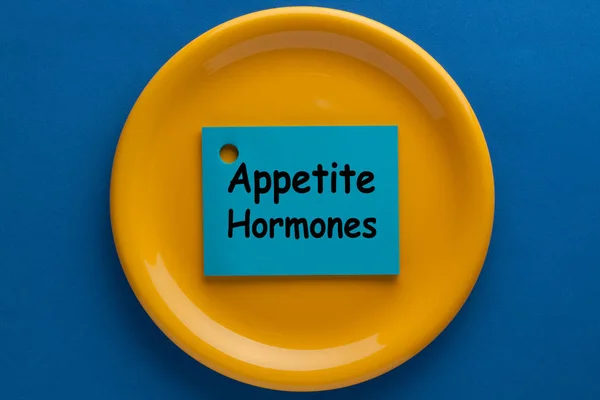 Концепція апетитних гормонів — стокове фото