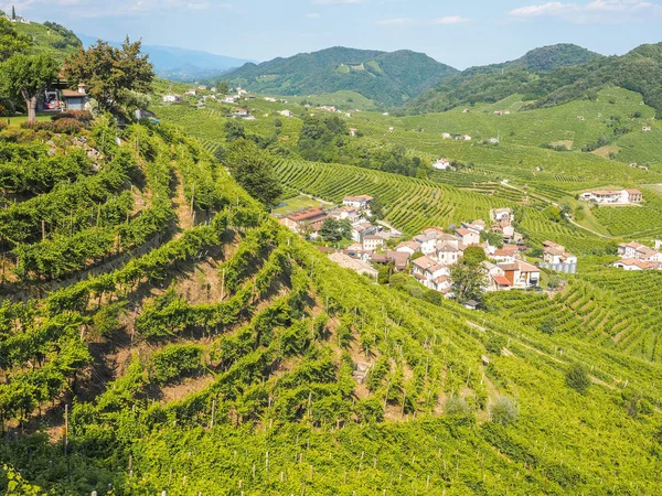 Valdobbiadene kullar och vingårdar, mark av Prosecco — Stockfoto