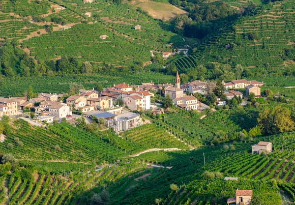 Cartizze és a Prosecco szőlőültetvények — Stock Fotó