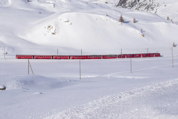 有名なベルニナ赤電車イタリアとスイスの間の雪風景を歩く ロイヤリティフリーのストック画像