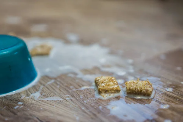 Çocuklar yere mısır gevreği döktü.