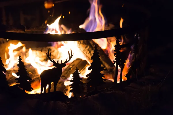 Kamp ateşi metal halkasındaki vahşi yaşam sahnesi — Stok fotoğraf