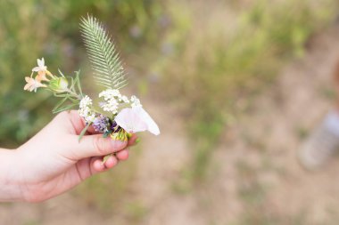 Küçük bir buket kır çiçeği.