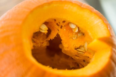 Küçük kız portakal kabağını oyup boşaltıyor.