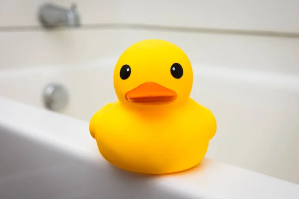 大母鸭坐在浴缸的边缘上 — 图库照片