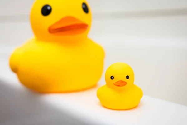 Rubber Duck Family Mother Baby Duck Edge Bath Tub — Stock Photo, Image