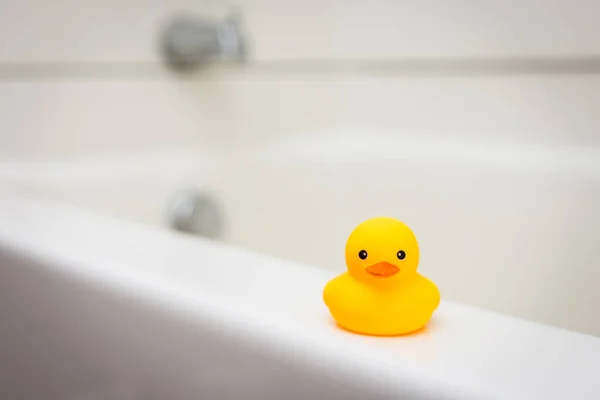 Miniature Baby Rubber Duck Ledge White Bath Tub — Stock Photo, Image