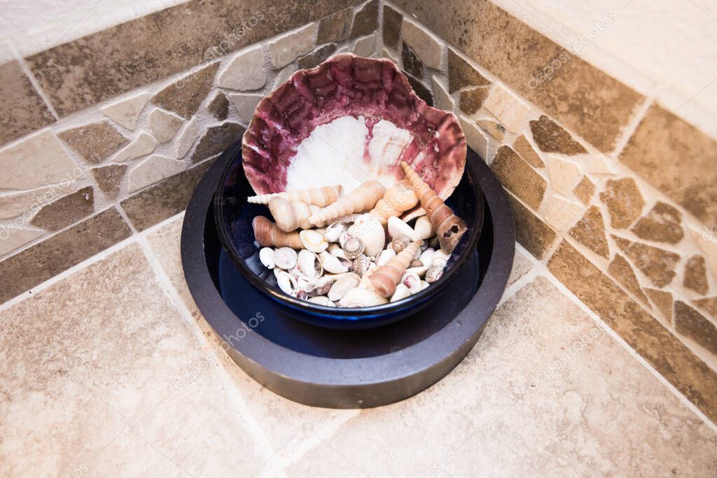 Decorative sea shells on tiled countertop