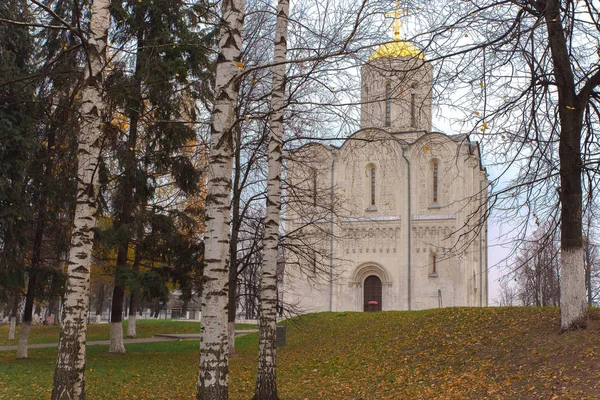 Cathedral of St. Demetrius in Vladimir — Stock Photo, Image