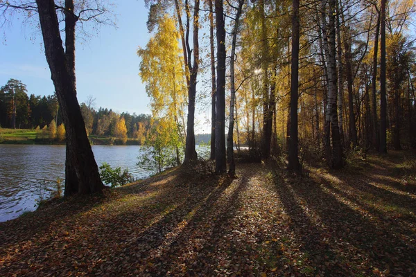 Autumn wood and river bank — Stock Photo, Image