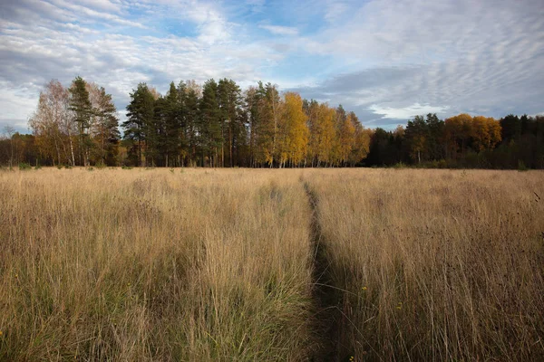 Russian landscape in the fall — Stock Photo, Image