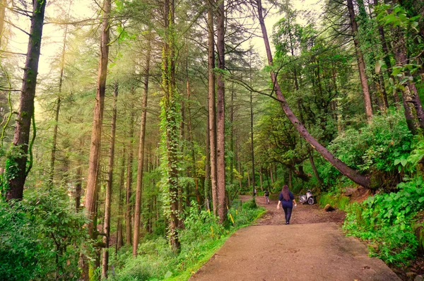 Mujer india joven caminando trekking en un camino en las cadenas montañosas de mcleodganj, dharamshala india — Foto de Stock