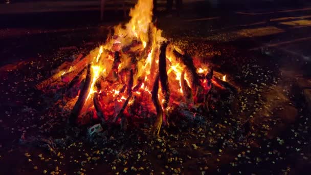 Gurgaon India Circa 2020 Video Giant Bonfire Lit Auspicious Festival — Stock Video