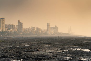 Mumbai 'deki orkestra standındaki kayalık plajdan jog' a yakın.