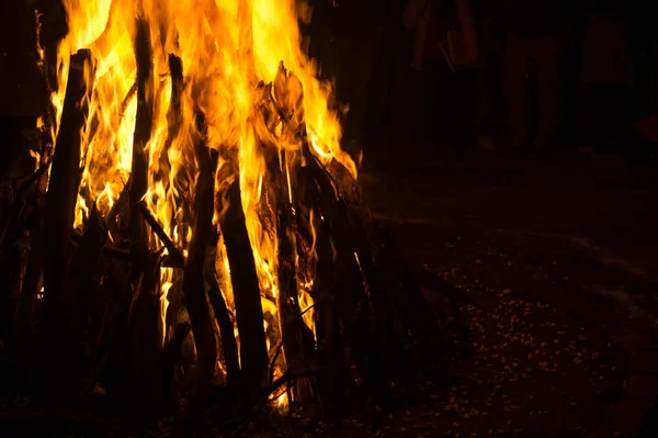Lohri festivali için dev bir ateş yakıldı.