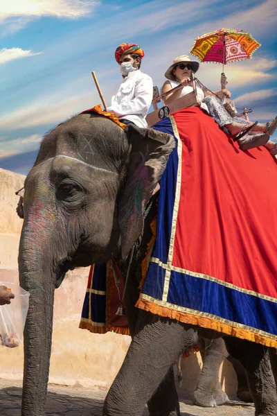 Jaipur India Circa 2020 Tiro Línea Elefantes Cubiertos Tela Roja — Foto de Stock