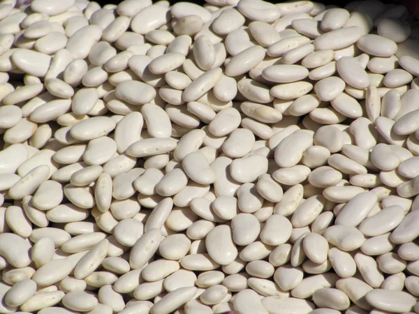 Latar belakang kacang putih — Stok Foto