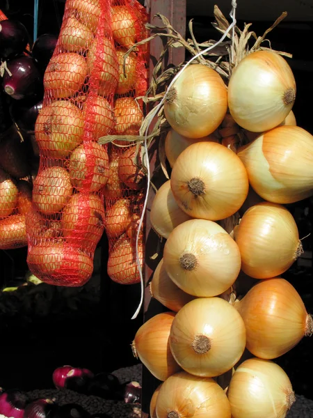 Viele Zwiebeln auf der Veranda — Stockfoto