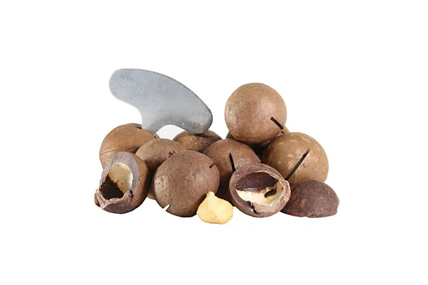 Nueces Macadamia Llave Para Abrirlas Sobre Fondo Blanco — Foto de Stock
