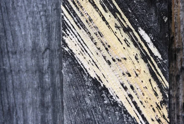 木と黄色の樹脂の灰色の縦繊維のカットからの背景 — ストック写真