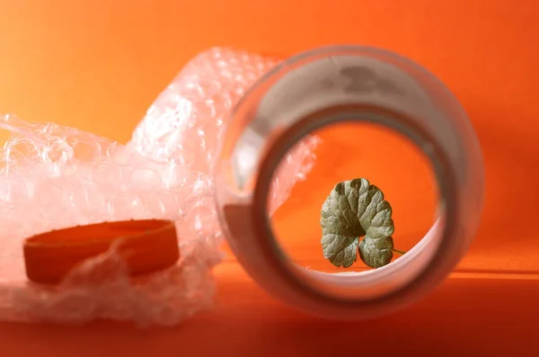 Plastic bottle, packaging material and green leaf on an orange background