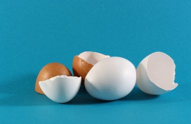 Turkuaz arka planda beyaz tavuk yumurtası ve yumurta kabuğu.