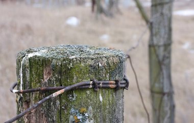 eski ahşap çit sonrası