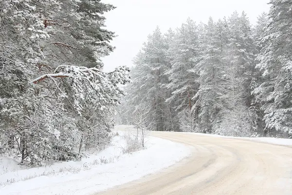 Strada Nel Bosco Tra Gli Alberi Con Neve Sui Rami — Foto Stock