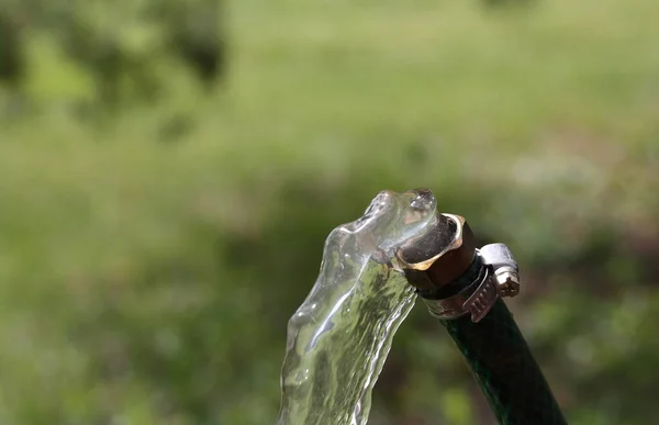 Fluxo Água Uma Mangueira Verde Fundo Gramado — Fotografia de Stock