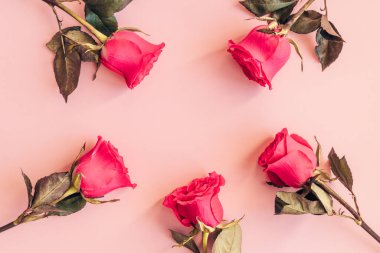 Çiçek kompozisyonu. Yumuşak pembe arka planda pembe gül çiçekleri. Tatil geçmişi. Minimum konsept. Eski usul antika. Düz konum, üst görünüm, kopyalama alanı