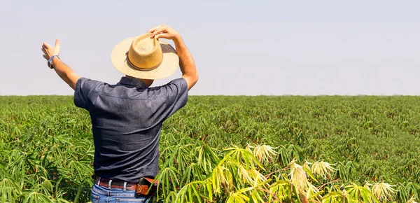 Boer werkt aan maniok oogst op de boerderij - Hij is op zijn rug en met hoed — Stockfoto