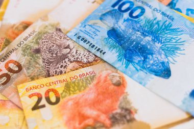 Brezilya 'nın gerçek banknotlarındaki hayvanların detayları.
