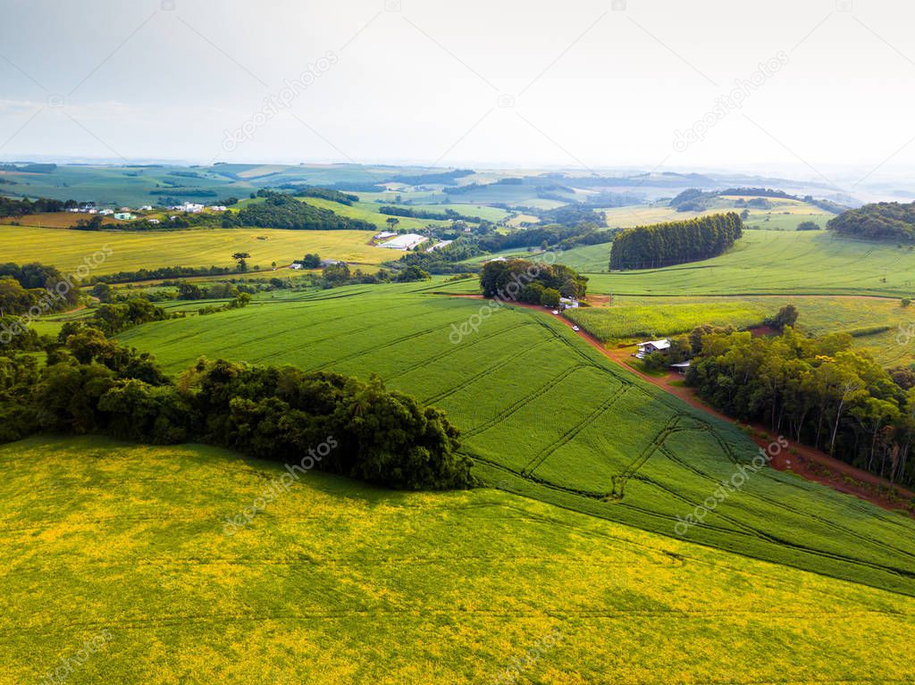 Aerial view of soybean plantation in Paraná