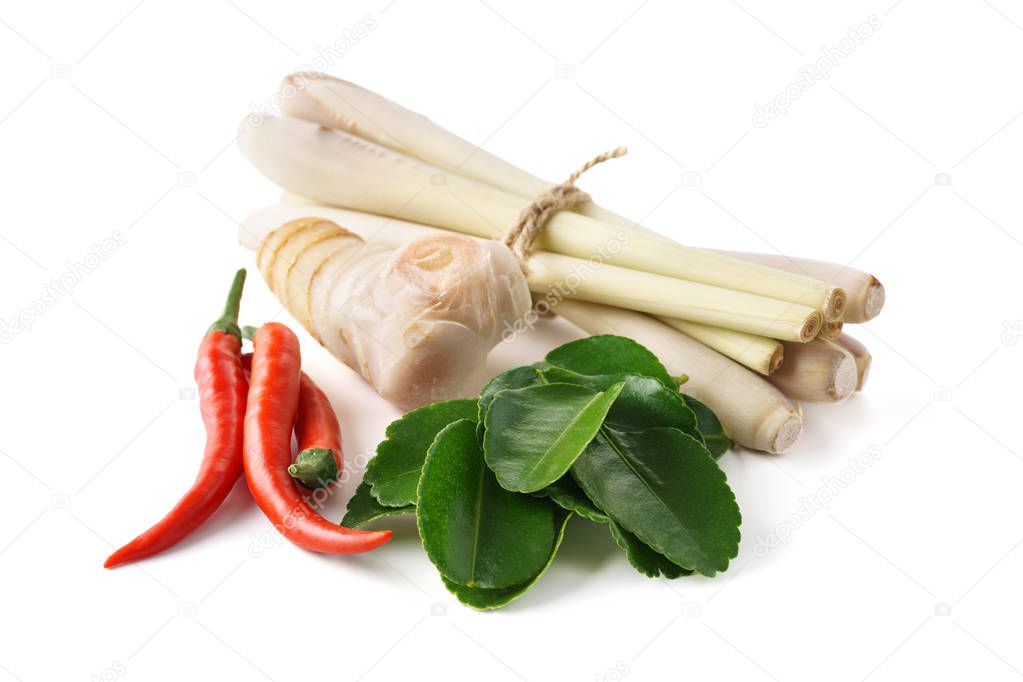 Set of Tom Yum soup main ingredients - lemon grass, chilli peppers, galanga root or galangal and kaffir lime leaves. Isolated on white background.