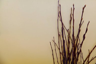 Masanın üzerinde küçük ağaç dalları