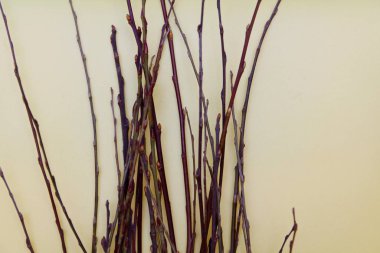 Masanın üzerinde küçük ağaç dalları